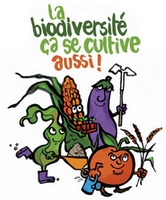 biodiversite_entete_91